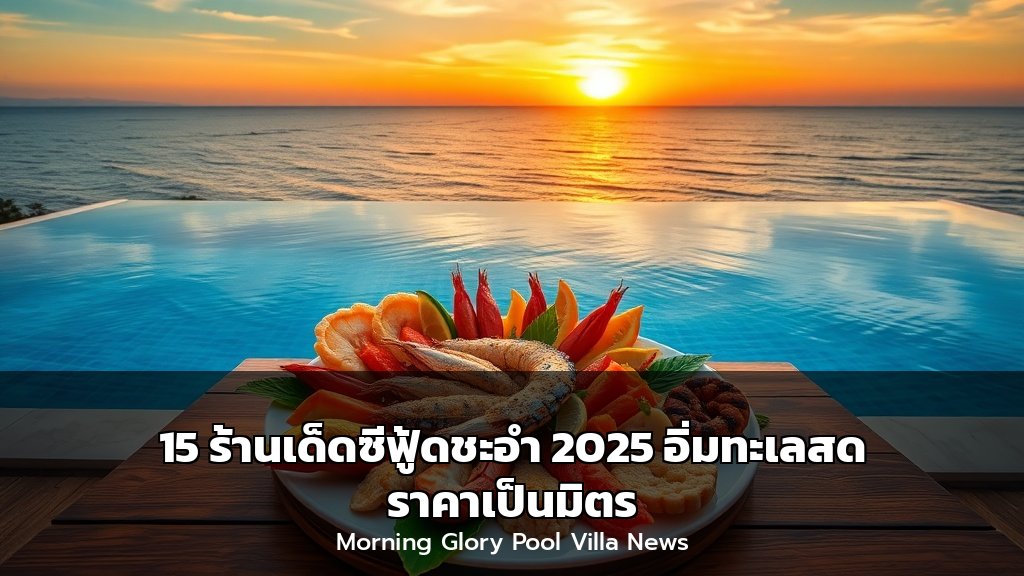 cover 11